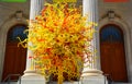 Dale ChihulyÃ¢â¬â¢s iconic artwork The Sun